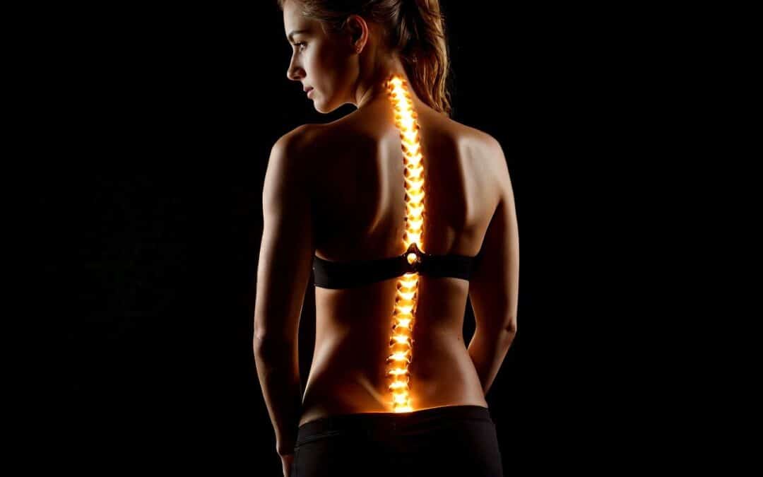 Por que a Coluna Vertebral é a Base do Corpo?